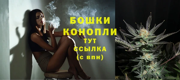 мяу мяу мука Михайловск