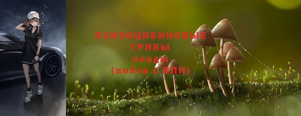 наркотики Алексин