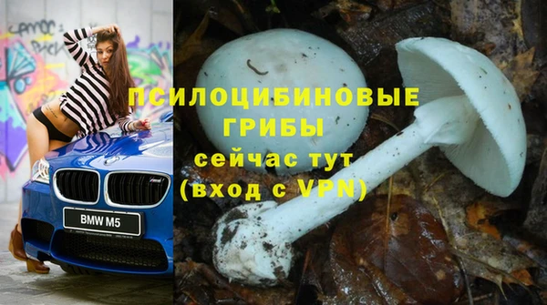 наркотики Алексин