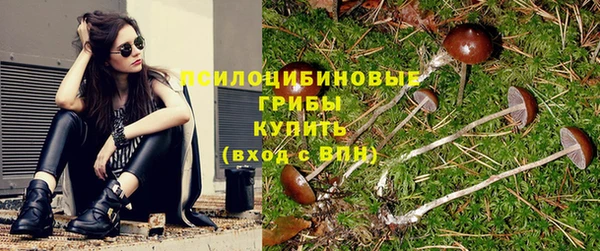 спиды Алзамай