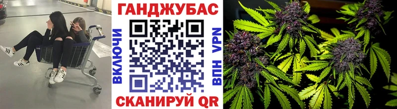 Бошки Шишки марихуана  Кола 
